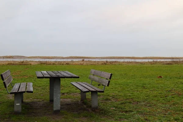 木のテーブルとベンチがある緑の公園の景色 — ストック写真