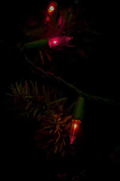 Een Close Van Kleurrijke Lichten Kerstboom Tak Dard — Stockfoto
