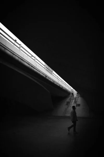 Graustufen Eines Mannes Der Auf Einem Fußgängersteg Unter Einer Brücke — Stockfoto
