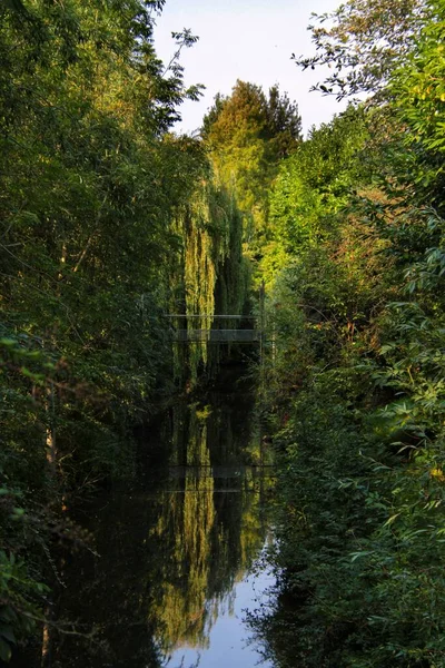 Egy Függőleges Felvétel Egy Hídról Egy Tavon Ami Zöld Fákat — Stock Fotó