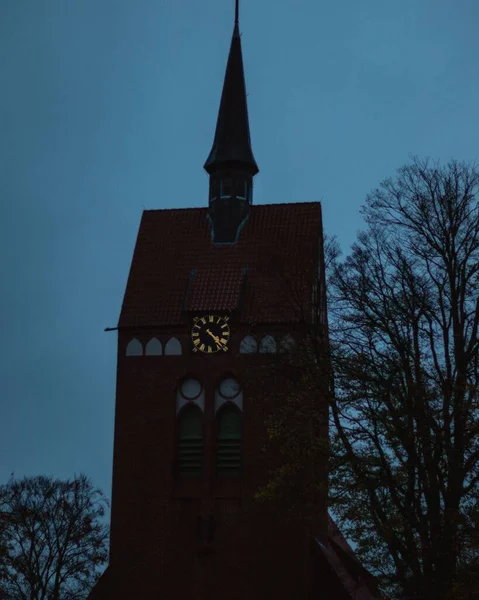 教堂塔楼的垂直截图 塔楼上有一个钟 在蓝色的夜空中衬托着轮廓分明的树木 — 图库照片