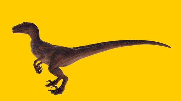 Der Velociraptor Brüllende Dinosaurier Isoliert Auf Gelbem Hintergrund — Stockfoto