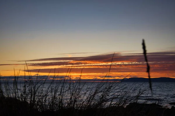 Slunce Zapadá Nad Oceánem Tráva Popředí — Stock fotografie