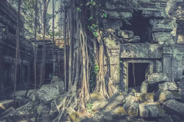 Een Prachtig Shot Van Prohm Tempel Bij Angkor Wat Tempel — Stockfoto