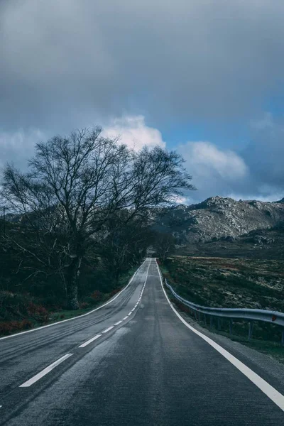 Een Verticaal Schot Van Grijs Asfalt Landweg Met Sterke Witte — Stockfoto