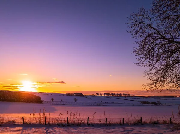 Όμορφη Θέα Του Χιονισμένου Πεδίου Την Ανατολή Του Ηλίου — Φωτογραφία Αρχείου
