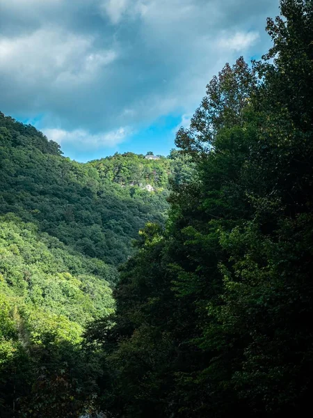 Vertikální Záběr Bujně Zelených Stromů Pokrývajících Svahy Kopců Pod Modrou — Stock fotografie