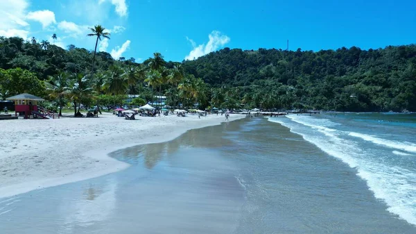 Scenic Shot Beach Full Palms Tourists — Stock Photo, Image