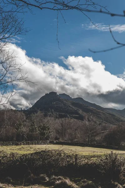 Colpo Verticale Alberi Montagne Sotto Cielo Blu Con Nuvole — Foto Stock