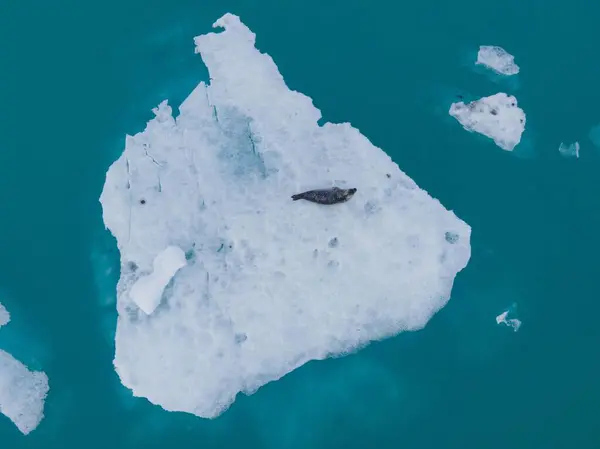 Una Vista Aérea Los Glaciares Mar —  Fotos de Stock