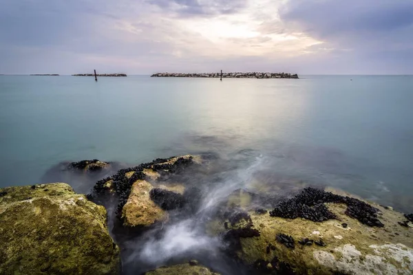Deniz Suyuna Giden Yosunlu Taşların Yüksek Açılı Görüntüsü — Stok fotoğraf