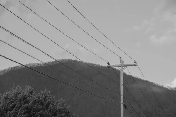 Eine Graustufenaufnahme Eines Strommasten Niedrigen Winkel Gegen Den Himmel — Stockfoto