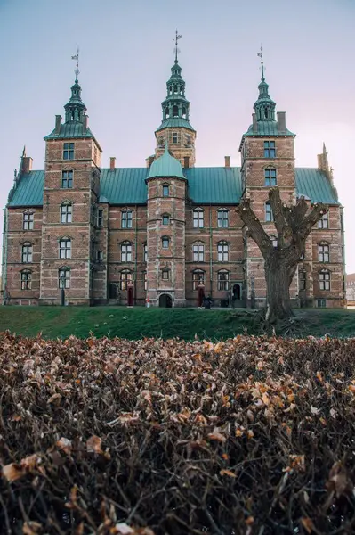 Pionowe Ujęcie Pięknej Architektury Zamku Rosenborg Kopenhadze Dania — Zdjęcie stockowe