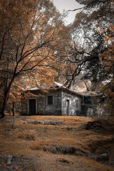 Une Belle Photo Une Vieille Maison Abandonnée Dans Une Forêt — Photo