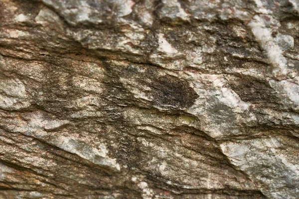 質感の古い岩の詳細のクローズアップショット — ストック写真