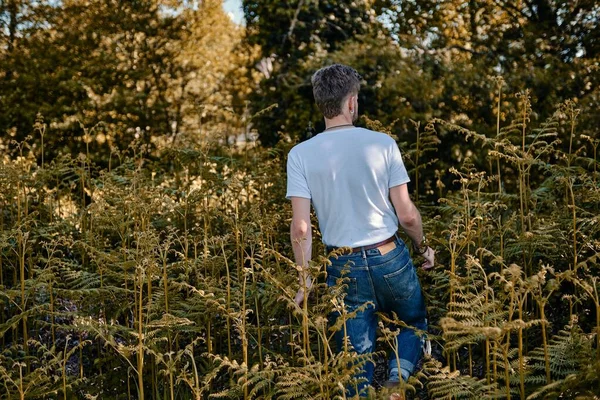 植物に触れる森の中の白人男性 — ストック写真