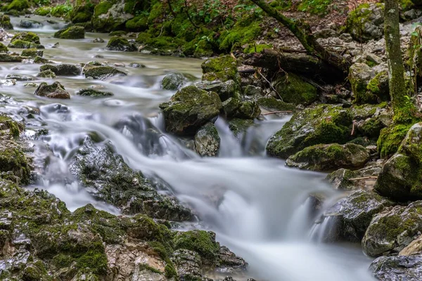 森の植生に囲まれた岩の川の長い露出 — ストック写真