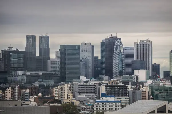近代建築が立ち並ぶ東京の下町の街並みを空中で眺めながら 曇り空の夜に灯りがともる — ストック写真