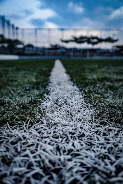 Fechamento Vertical Linha Branca Campo Futebol — Fotografia de Stock