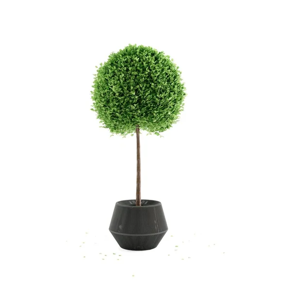 Illustration Green Plant Pot Isolated White Background Royalty Free Stock Images