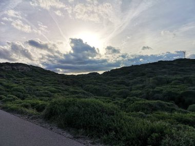 Menorca adasının çevresindeki bitki örtüsü.