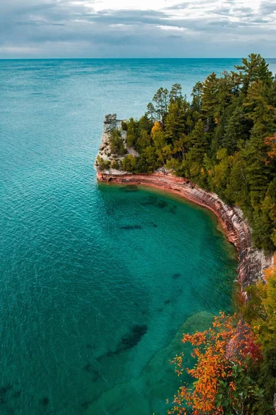 海の水と木のある岩のビーチの空中風景 — ストック写真