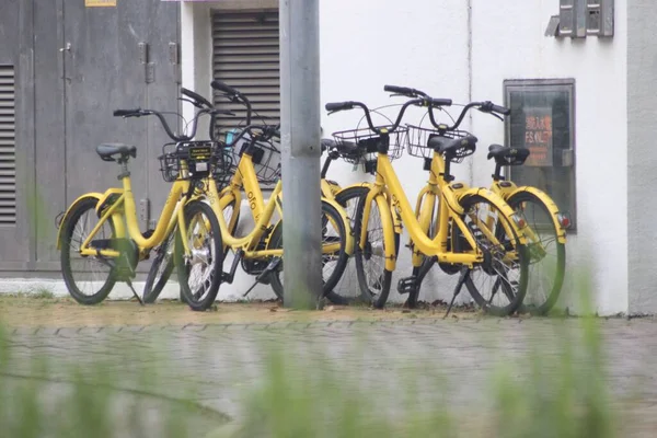 Eine Selektive Fokusaufnahme Gelber Fahrräder Lehnte Einer Wand — Stockfoto