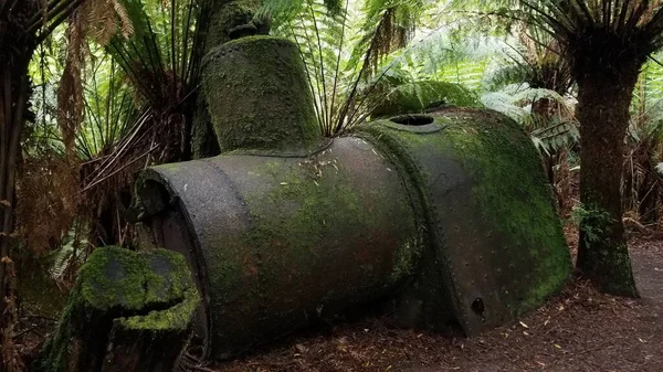 Ormanın Ortasında Eski Bir Trenin Paslı Bir Kısmının Yakın Çekimi — Stok fotoğraf