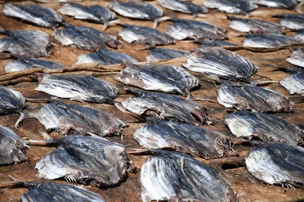 Bir Grup Kurutulmuş Balığın Yakın Plan Çekimi — Stok fotoğraf
