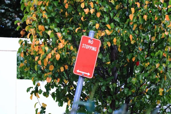一个红色的杆子标志着公园里不准停车 背景是秋天的树 — 图库照片