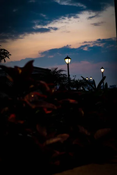 Çalıların Üzerinde Güzel Bir Günbatımının Dikey Görüntüsü — Stok fotoğraf