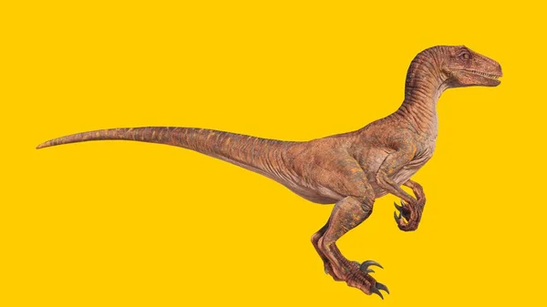 Rendu Dinosaure Vélociraptor Isolé Sur Fond Jaune — Photo