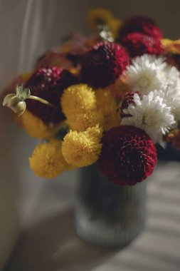 Bir vazoda annelerin (Kasımpatı) dikey yakın çekimi.