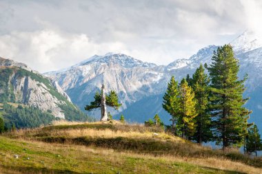 Avusturya 'nın Obertauern kentindeki huzur dolu dağların manzarası.