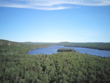 Yoğun ağaçlarla çevrili bir orman manzarası.