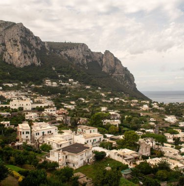 İtalya 'nın Capri kentindeki orman yakınlarındaki modern binaların hava manzarası.