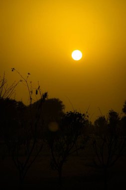 Sarı bir günbatımı sahnesinin nefes kesici manzarası.