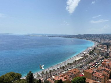 Sakin mavi sulara doğru uçan beyaz bir güvercinle deniz kenarı manzarası.