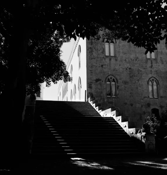 Grayscale Donnafugata Castle Silhouette Tree Stairs Foreground Sicily Italy — Stock Photo, Image