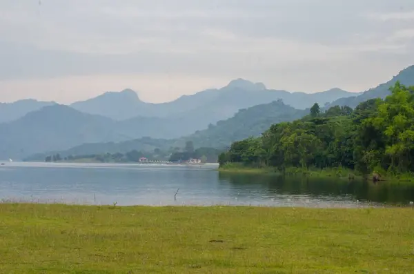 湖と森林の丘と緑の風景の美しいショット — ストック写真