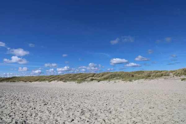 Krásný Výhled Trávu Písečné Pláži Modrou Oblohou Pozadí Skagenu Dánsko — Stock fotografie