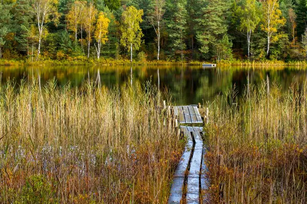 가을에 시골에 호수로 둘러싸인 들판에 나무로 — 스톡 사진