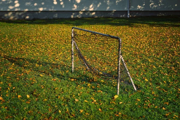 Uma Pequena Rede Metas Campo Abandonado Com Folhas Outono — Fotografia de Stock