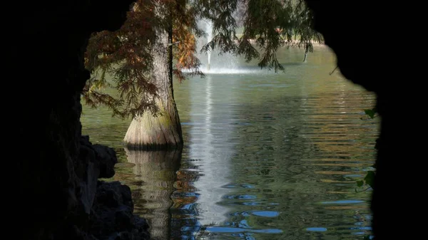 马德里雷蒂罗水晶宫的紫杉树 — 图库照片