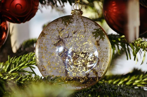 Noel Ağacında Asılı Güzel Bir Tasarımı Olan Cam Bir Topun — Stok fotoğraf