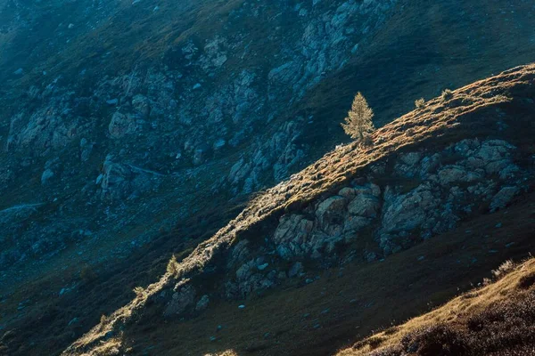 스위스의 몽블랑 풍경으로 뒤덮인 프랑스 의산들의 아름다운 — 스톡 사진