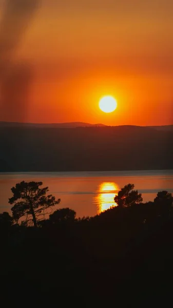 Svislá Silueta Stromů Proti Rudému Západu Slunce Jasným Sluncem Zlaté — Stock fotografie