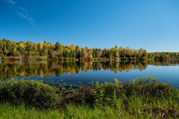Les Arbres Automne Qui Réfléchissent Sur Lac Fairburn Québec — Photo