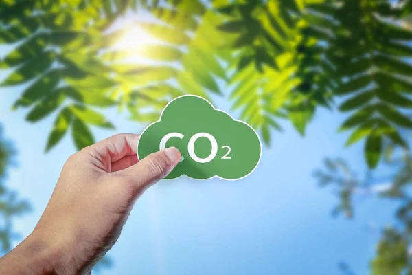 Una Persona Sosteniendo Recorte Nubes Verdes Con Co2 Fórmula Dióxido — Foto de Stock