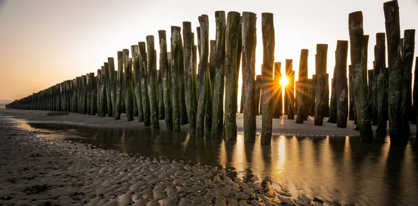 夕暮れ時の砂浜に丸太の列ができる海 — ストック写真